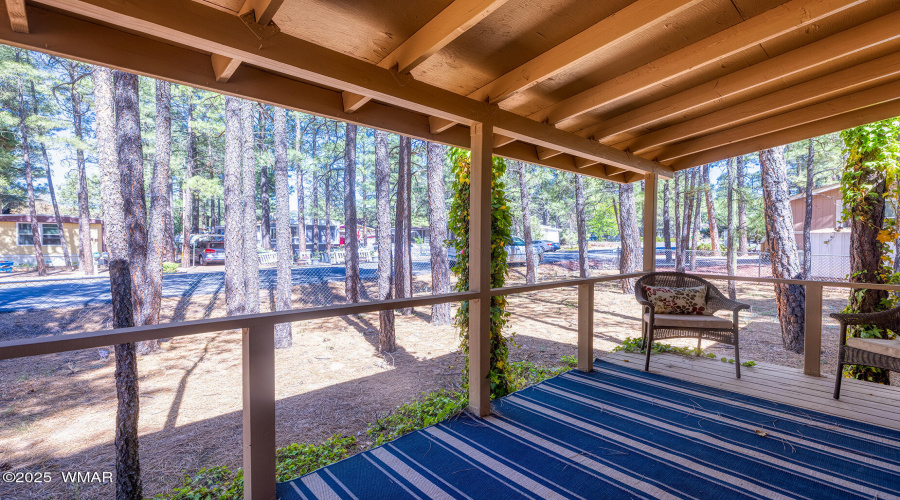 Porch View