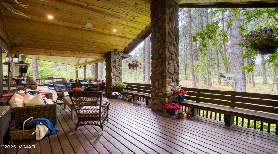 Paxmanphoto_PAX_1278