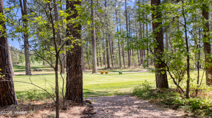 Paxmanphoto_PAX_2097