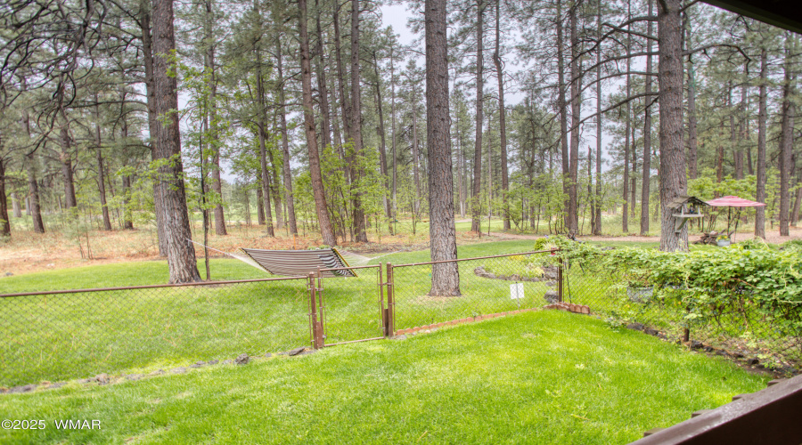 Paxmanphoto_PAX_1287