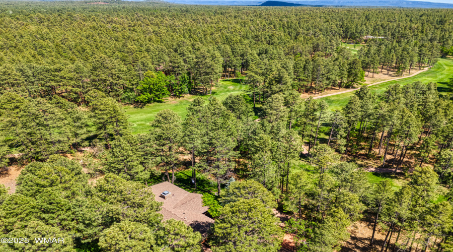 DJI_20250605141707_0364_D_AuroraHDR2019-