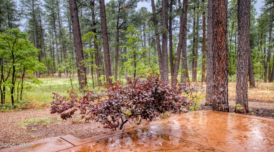Paxmanphoto_PAX_1296