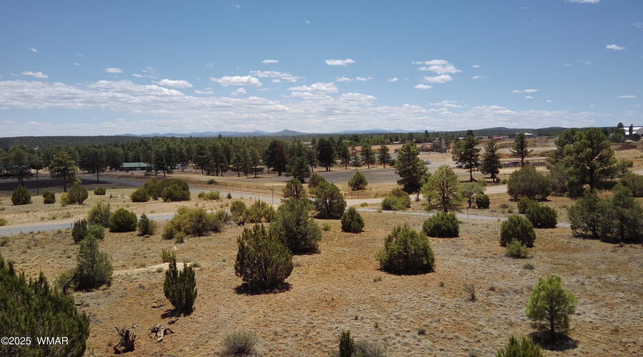 The White Mountains are in the distance.