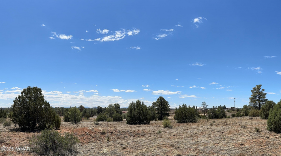 White Mtns
