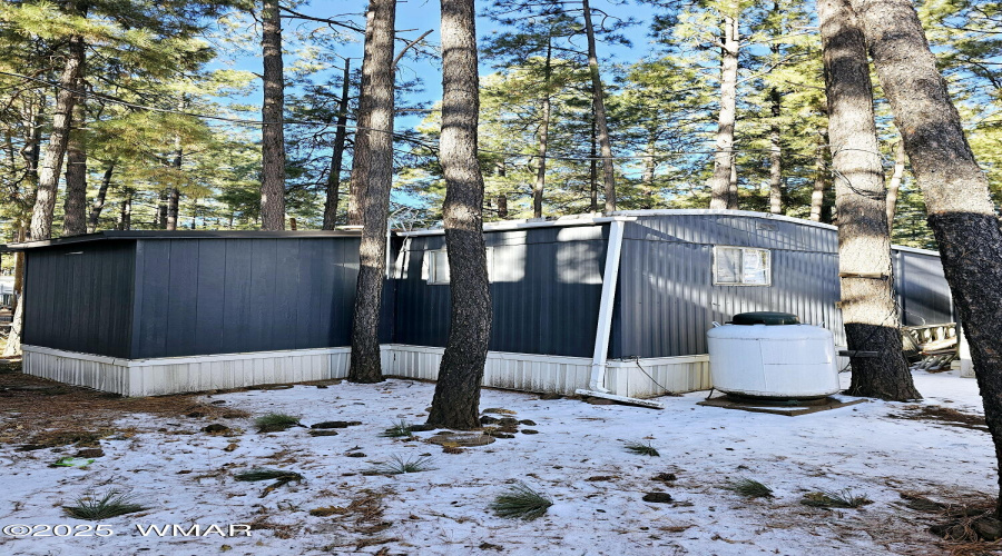 Back of Home