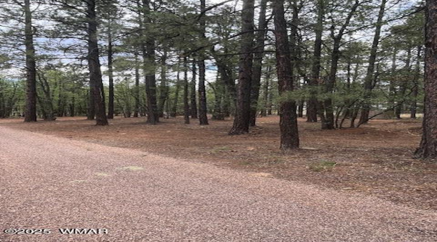 F lot view 3