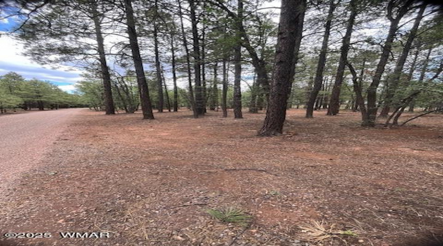 F lot view 2