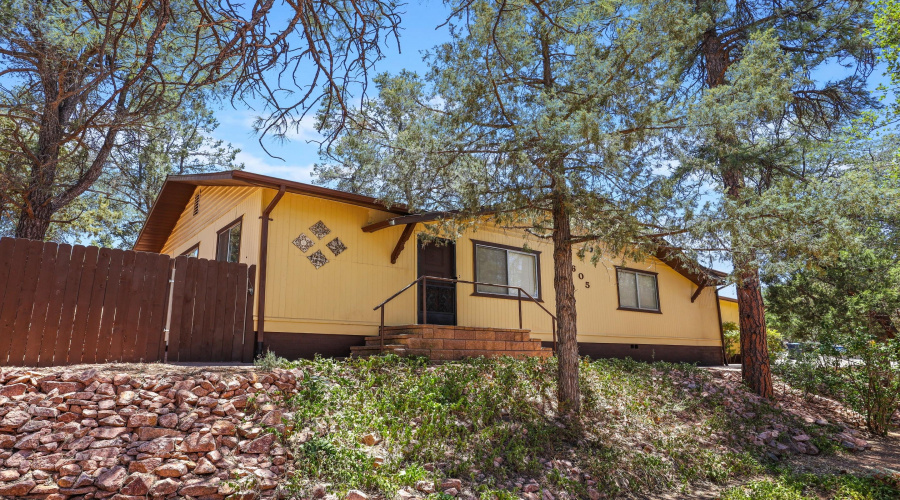 House - Pine Trees