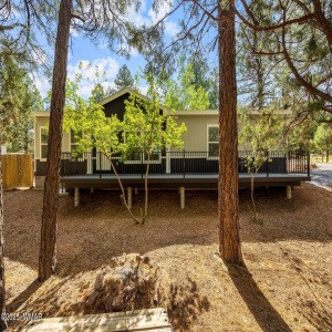3198WYoung-ShowLow-AZ-2