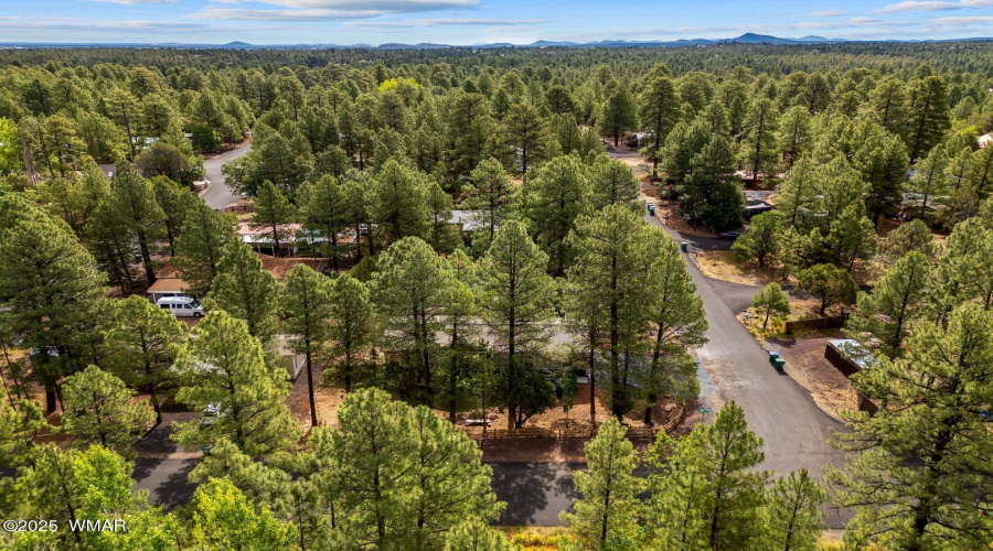 3198WYoung-ShowLow-AZ-31