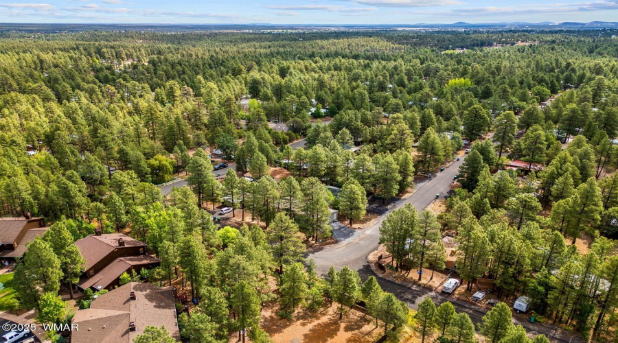 3198WYoung-ShowLow-AZ-29