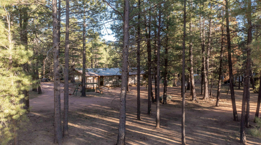 DJI_0281