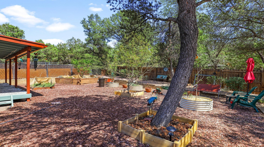 Fruit Trees