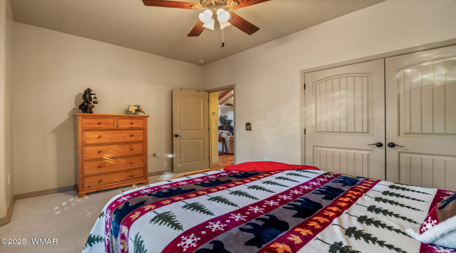 1430EPineOaksDr-ShowLow-AZ-22