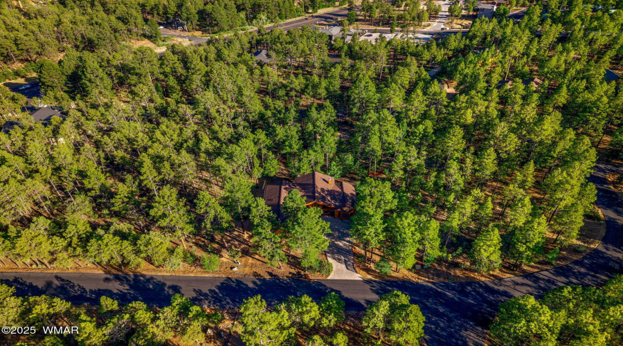 1430EPineOaksDr-ShowLow-AZ-43