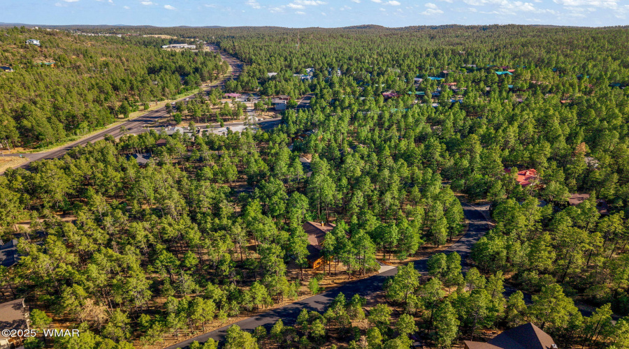 1430EPineOaksDr-ShowLow-AZ-45