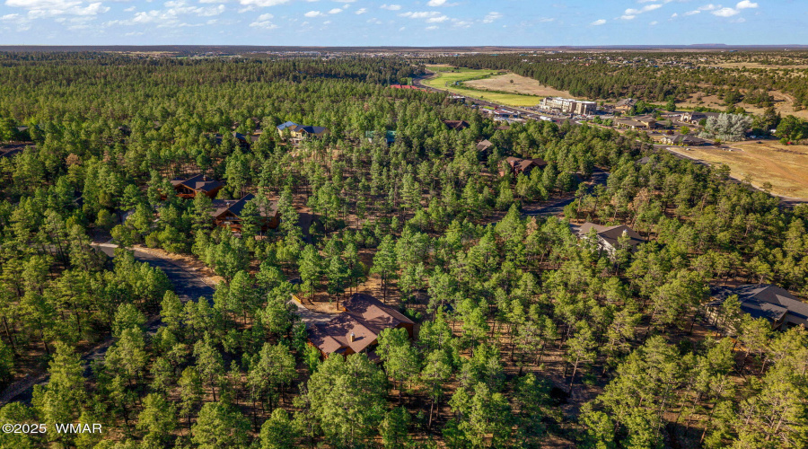 1430EPineOaksDr-ShowLow-AZ-46