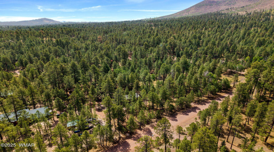 8CoRd2083-Alpine-AZ-8