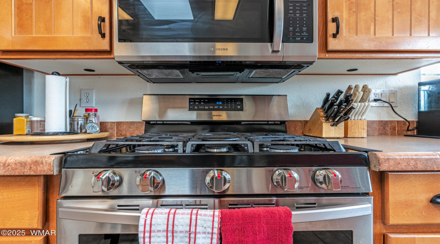 Propane stove