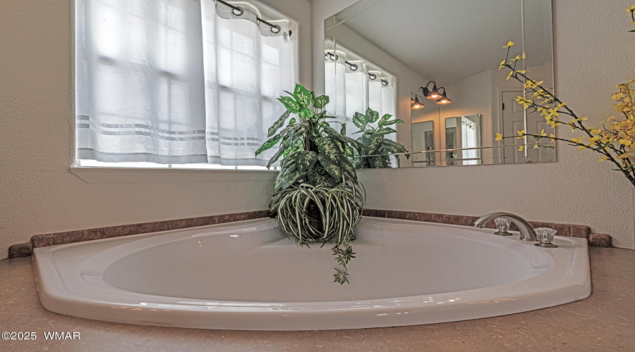 Master tub