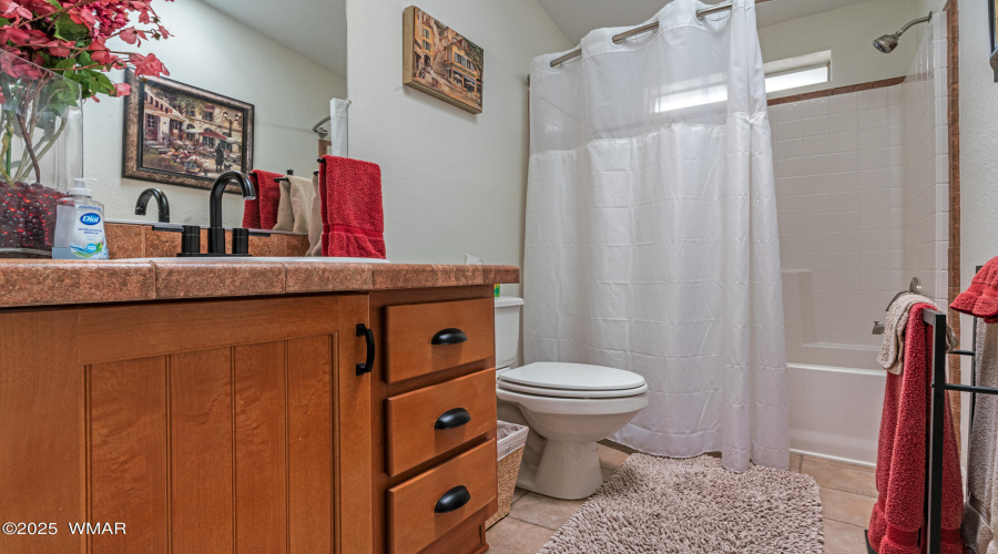 Guest bath