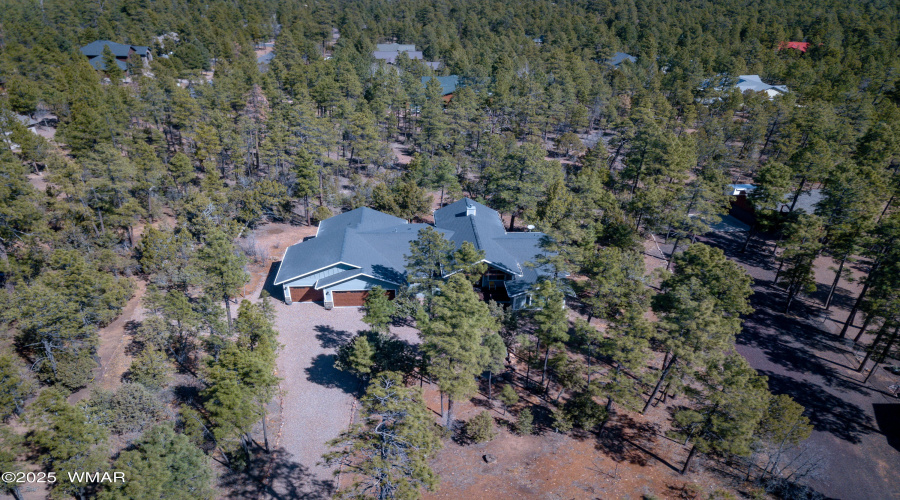 AspenTrDrone-1