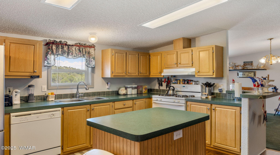1655ScottsLn-Pinedale-AZ-13