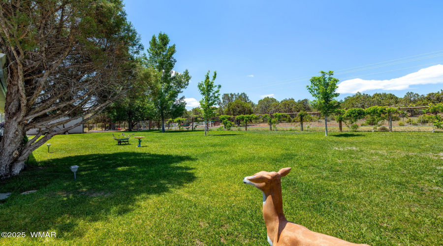1655ScottsLn-Pinedale-AZ-4