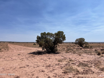 8191 E Concho Highway, Snowflake