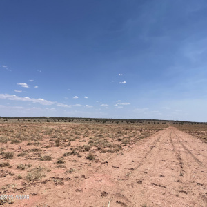 8191 E Concho Highway, Snowflake