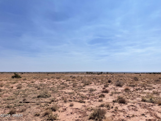 8191 E Concho Highway, Snowflake