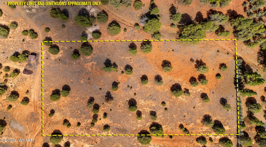 Parcel409-061-009-ShowLow-AZ-16
