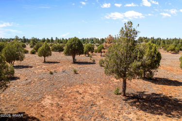 Parcel409-061-009-ShowLow-AZ-1