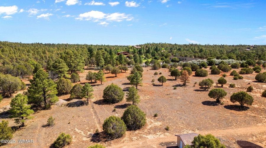 Parcel409-061-009-ShowLow-AZ-2