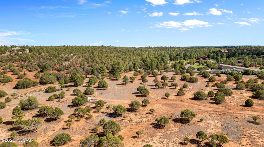 Parcel409-061-009-ShowLow-AZ-3