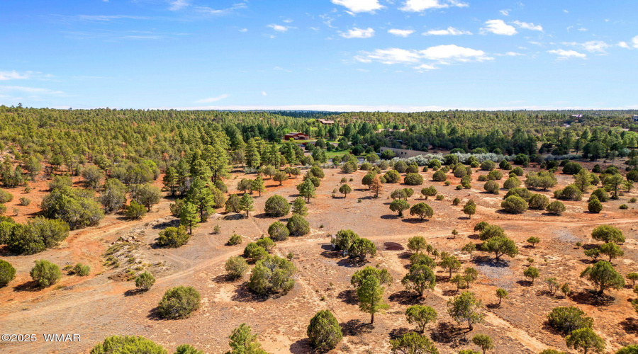 Parcel409-061-009-ShowLow-AZ-4