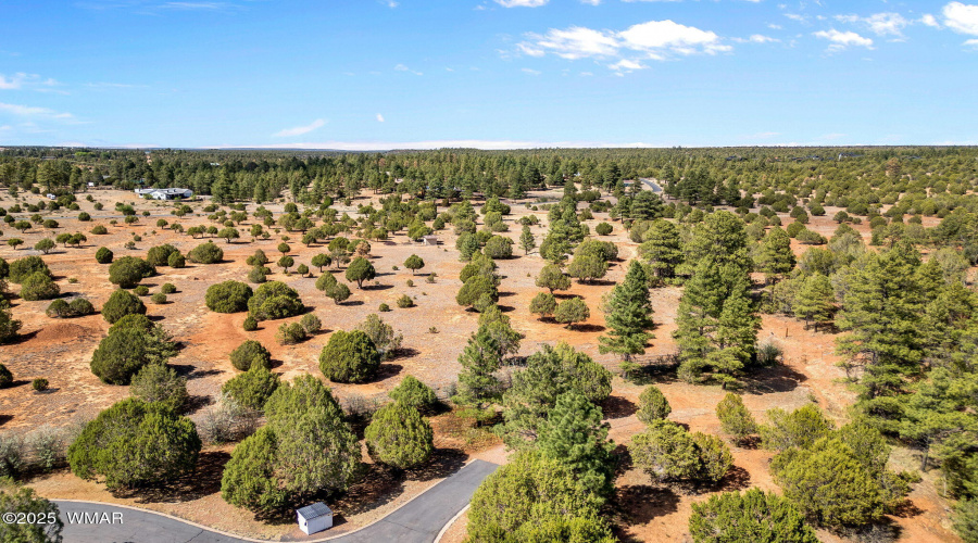 Parcel409-061-009-ShowLow-AZ-5