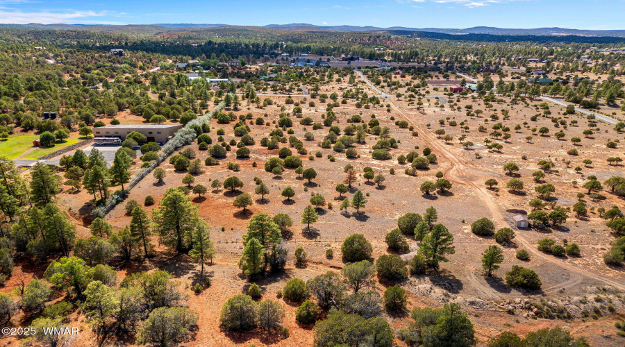 Parcel409-061-009-ShowLow-AZ-6