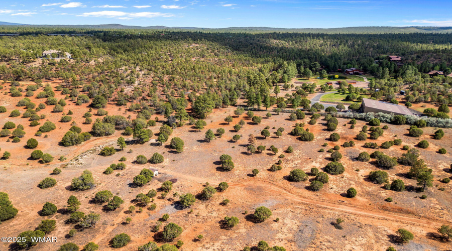 Parcel409-061-009-ShowLow-AZ-9