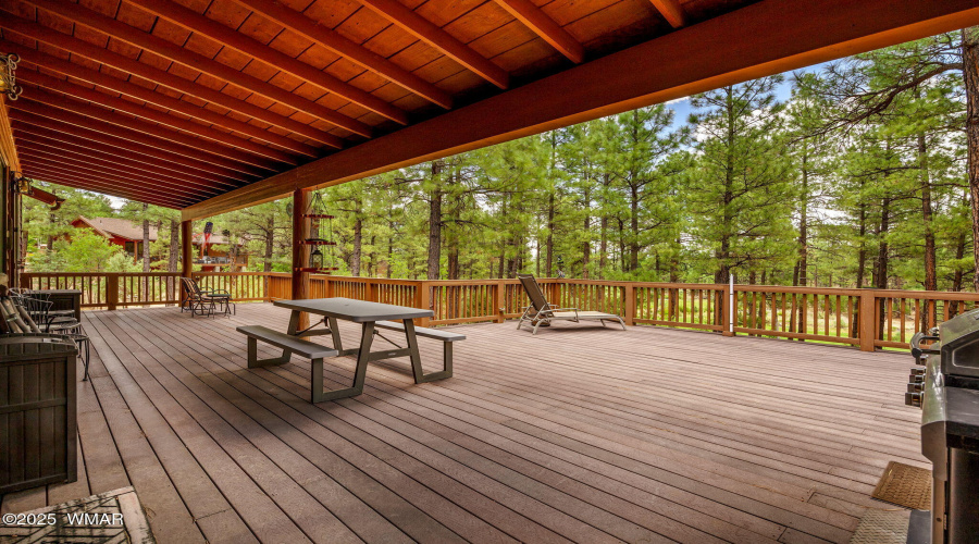 Spacious Back Deck