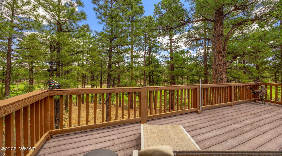 Back Deck Looking out to Beautiful Pines