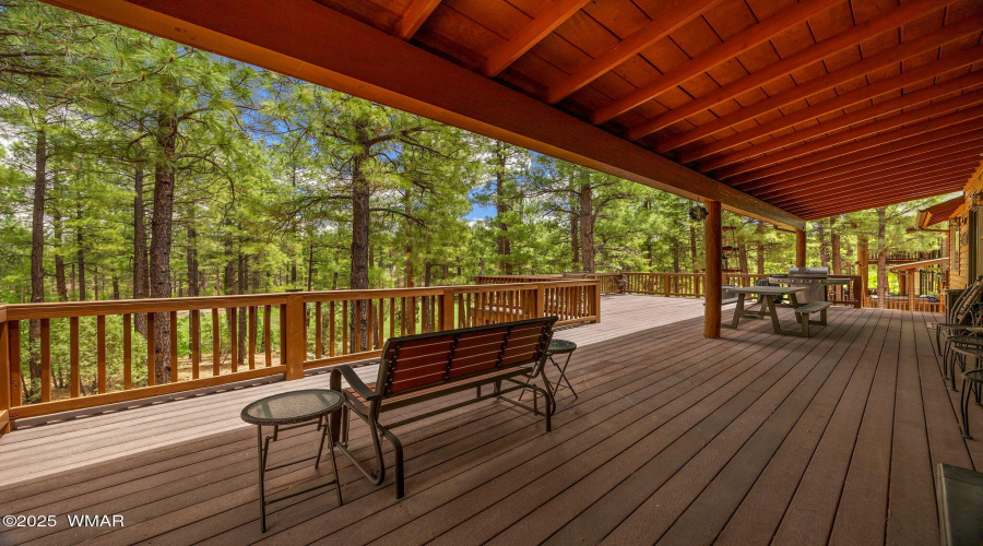 Expansive Deck for Outdoor Living
