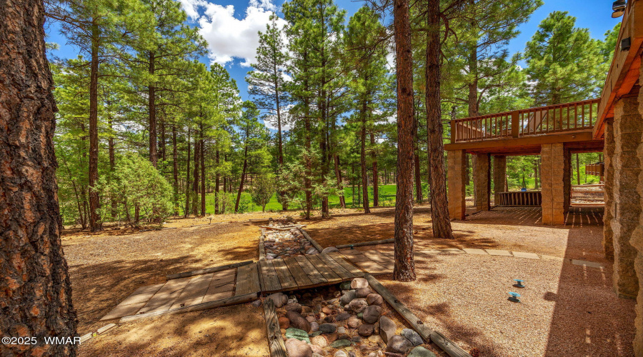 Backyard