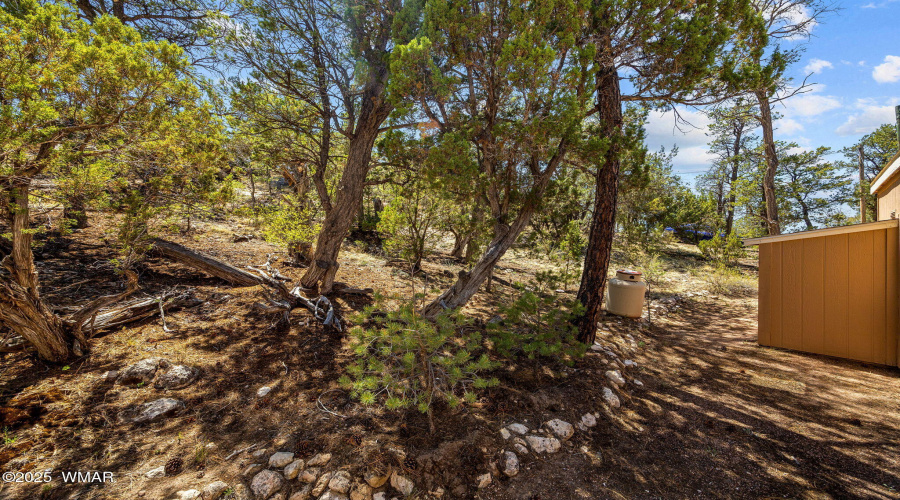 3641StageCoachRd-Heber-AZ-19