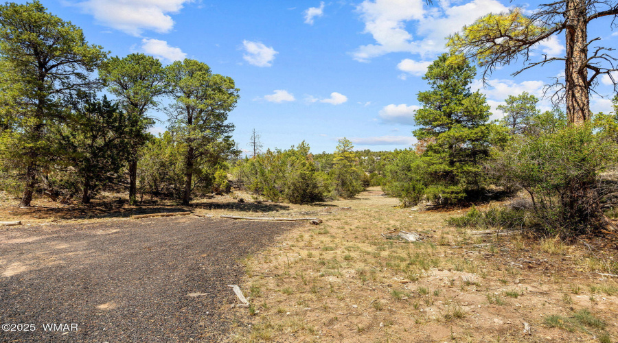 3641StageCoachRd-Heber-AZ-24
