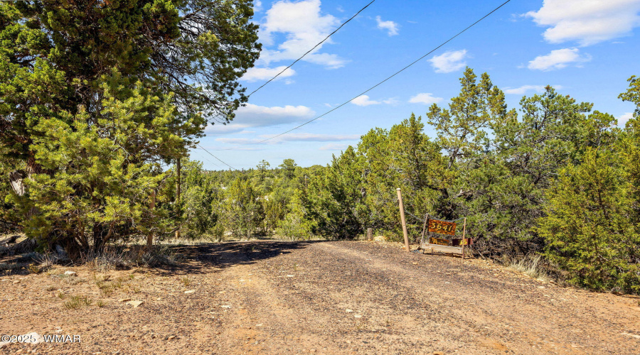 3641StageCoachRd-Heber-AZ-25