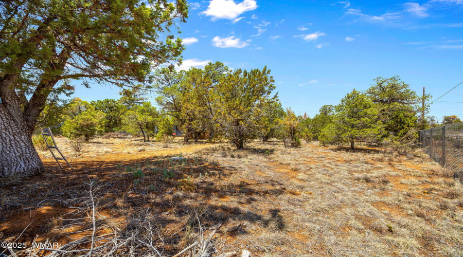 3355TurkeyRun-HeberOvergaard-AZ-32