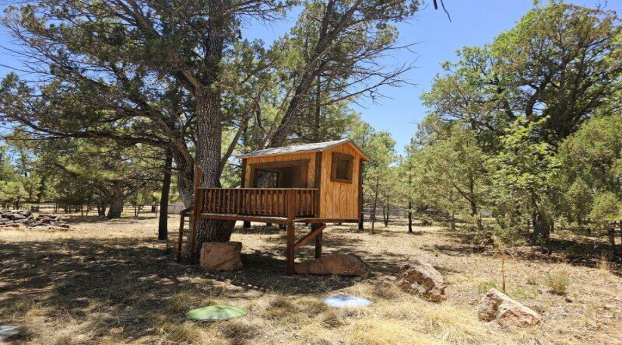 Tree House
