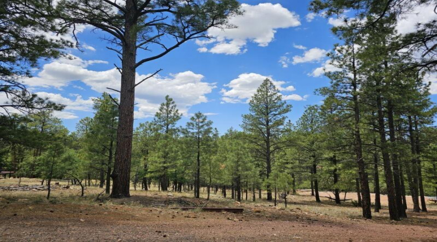Leveled Areas