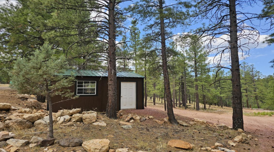 Storage Shed